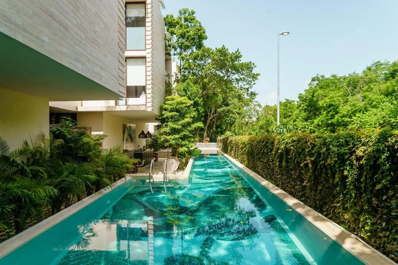 102-104 Amazing Private Pool And Fully Equipped Apartment Tulum