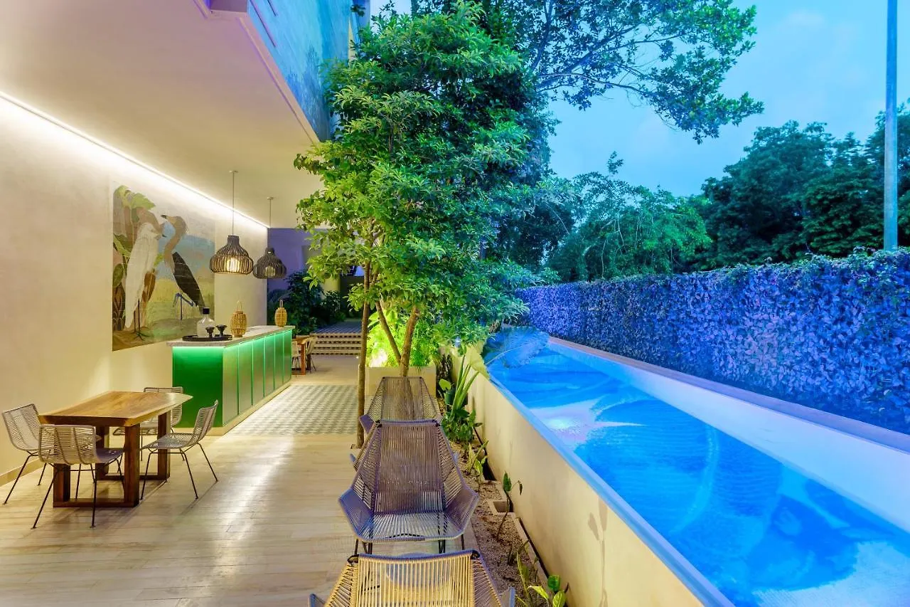102-104 Amazing Private Pool And Fully Equipped Apartment Tulum 0*,