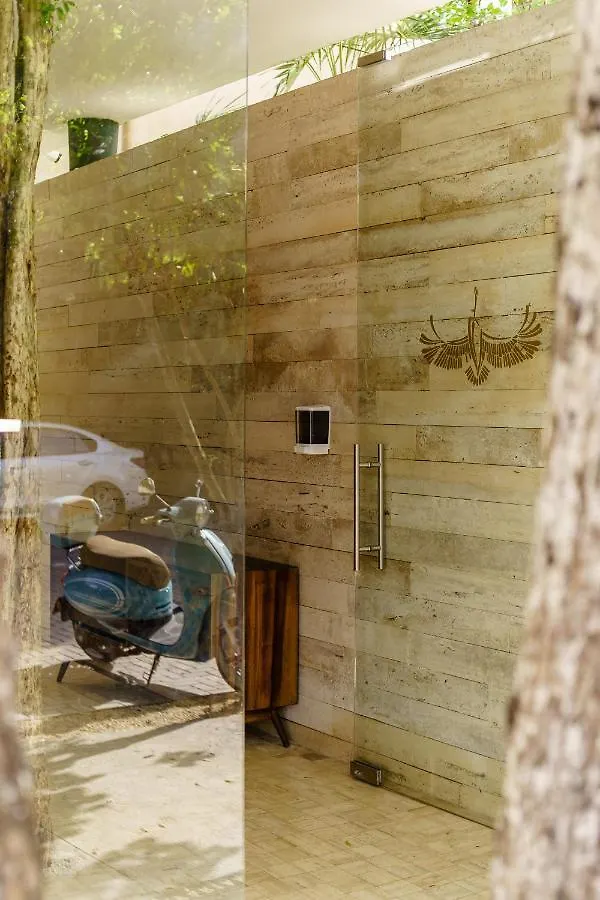 102-104 Amazing Private Pool And Fully Equipped Apartment Tulum